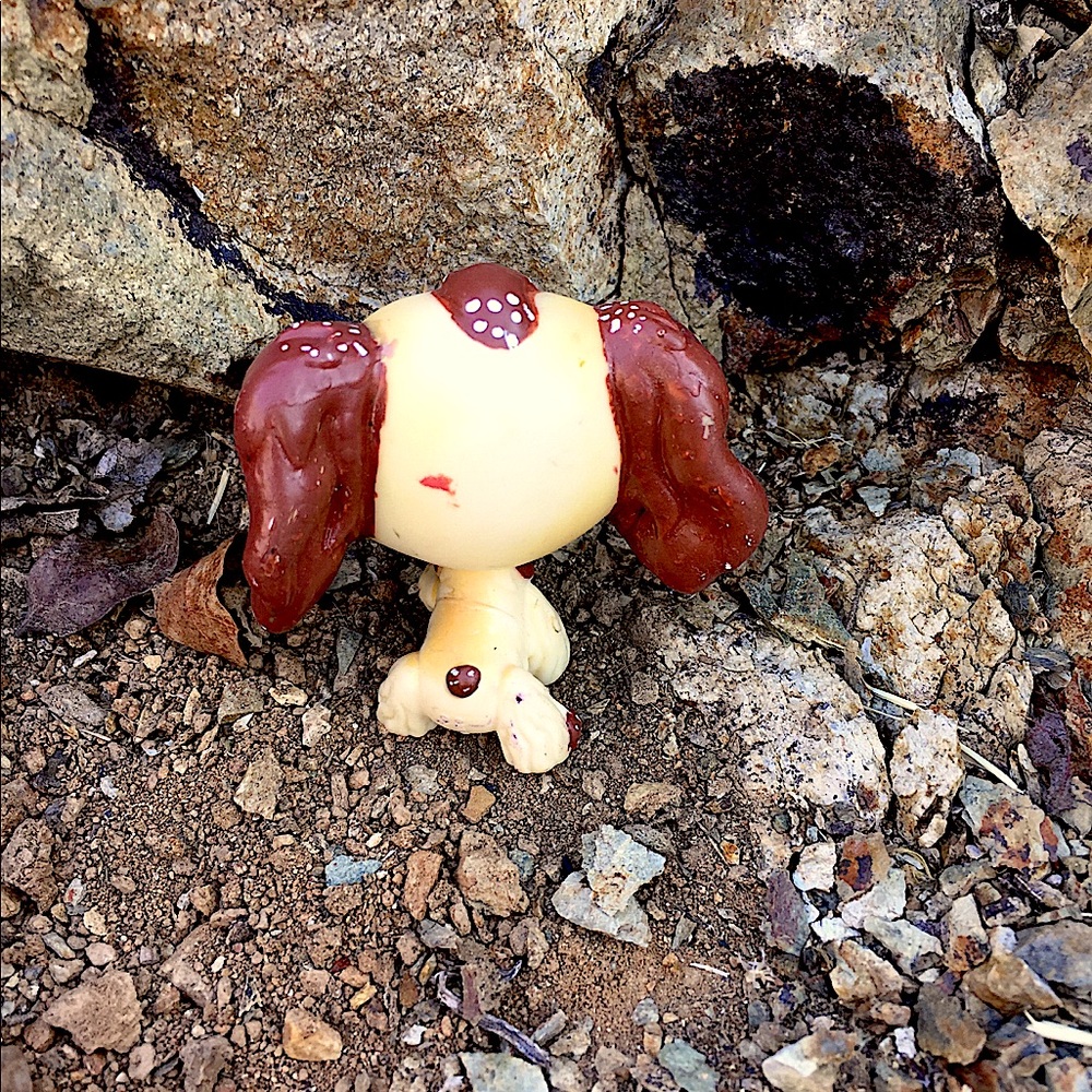 Lps Custom Cocker Spaniel - Picture 2 of 5
